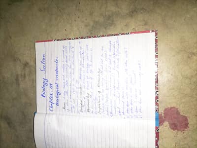 I am a professional hand writing in English Urdu and Sindhi