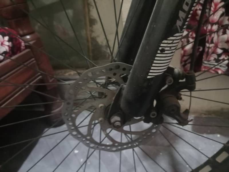 cycle 0