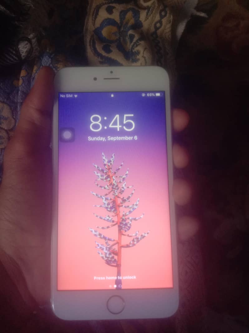 Apple iPhone 6 Plus 1