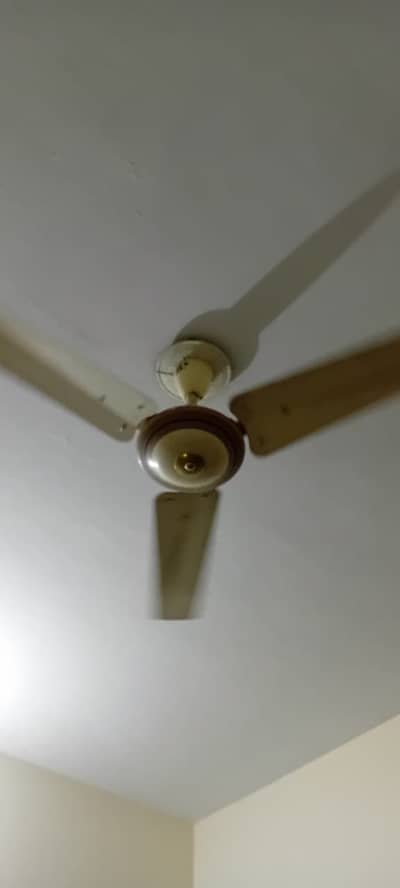 GFC Ceiling Fan For Sae