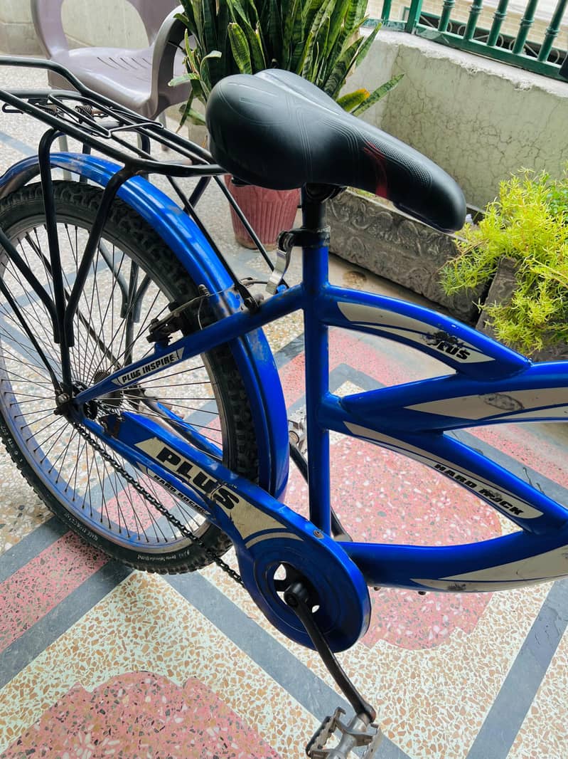 Mountain plus bicycle 1