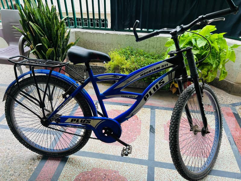 Mountain plus bicycle 2