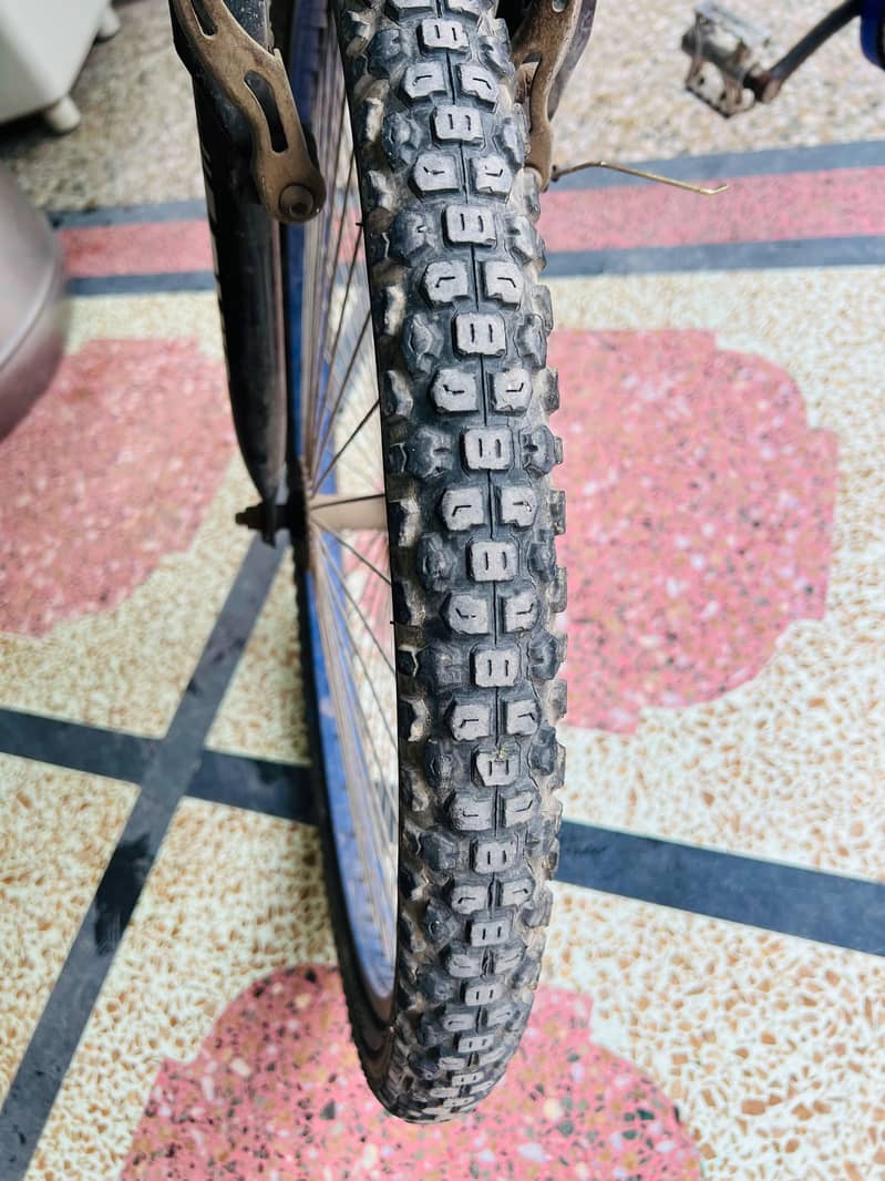 Mountain plus bicycle 3