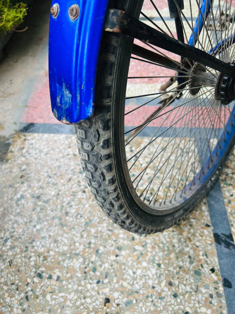 Mountain plus bicycle 6
