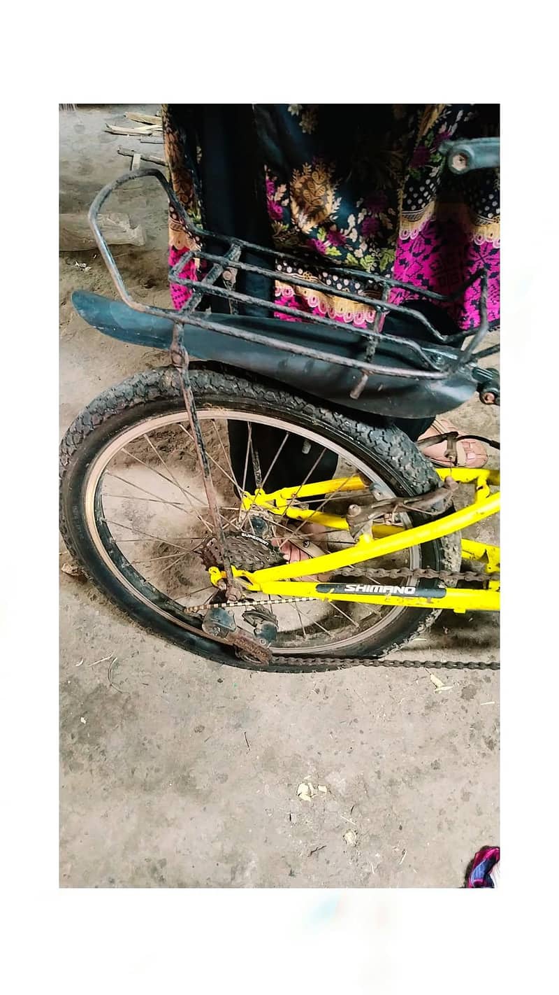 bicycle 2