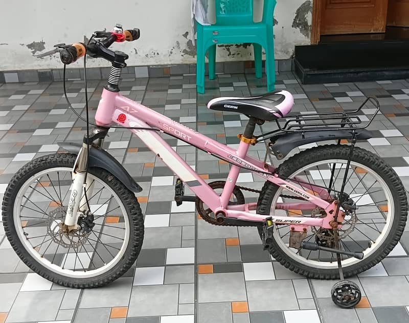 cycle 2