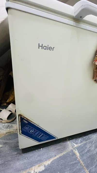 large full size looks like a new urgent sale deep freezer