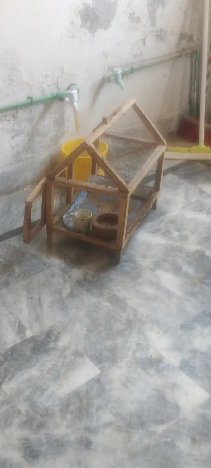 Hens with cage — photo 2