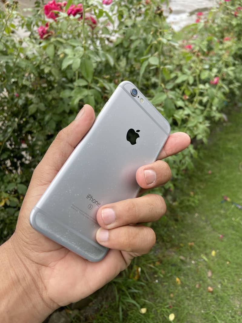 Apple iPhone 6S 5
