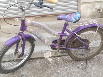 just like new cycle
