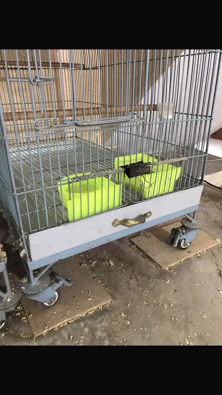 best Cage good conditions size 1x5 by 2 stup 3 — photo 2