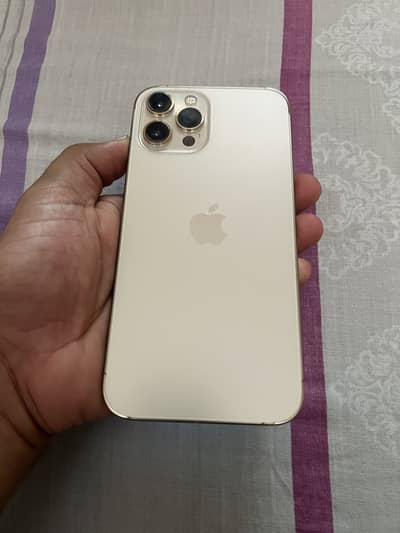 Apple iPhone 12 Pro Max