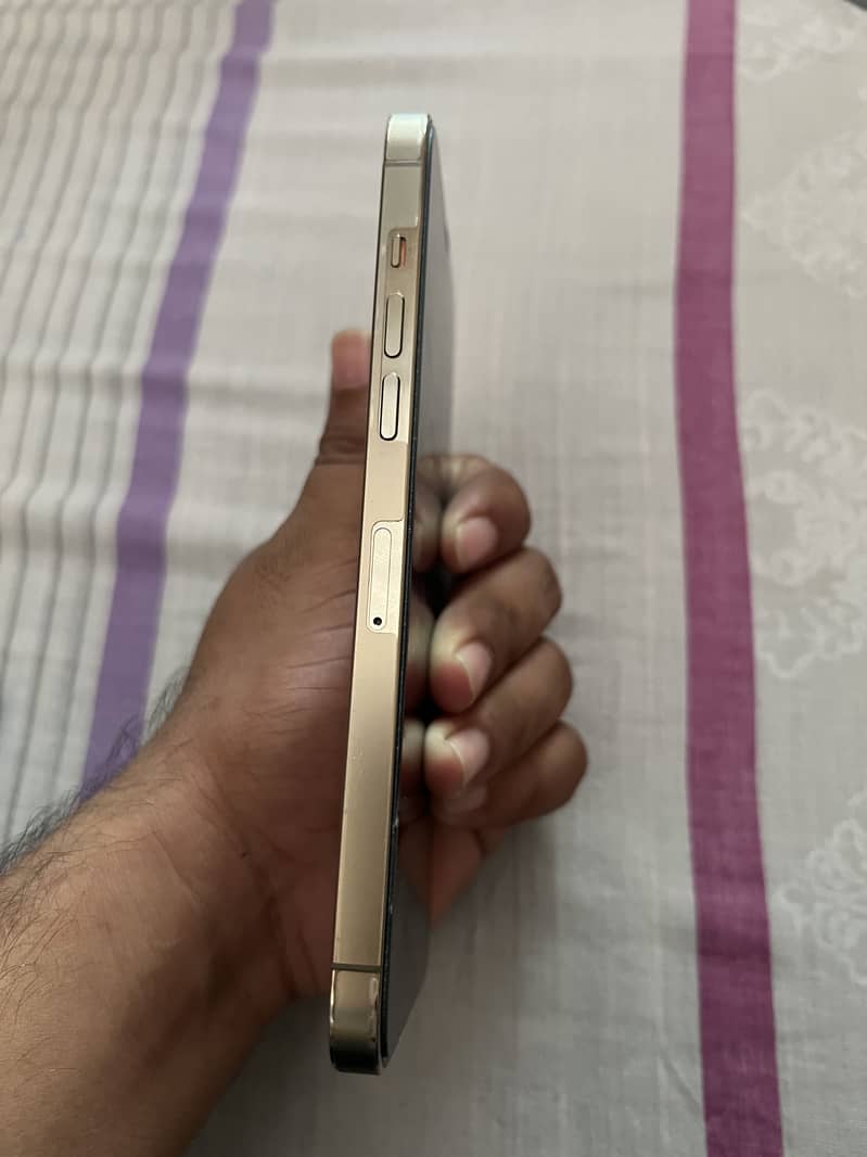 Apple iPhone 12 Pro Max 1