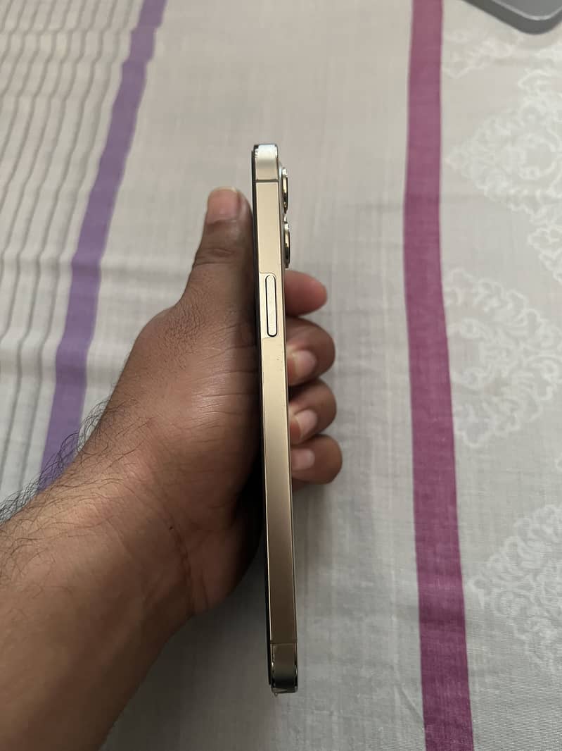 Apple iPhone 12 Pro Max 2