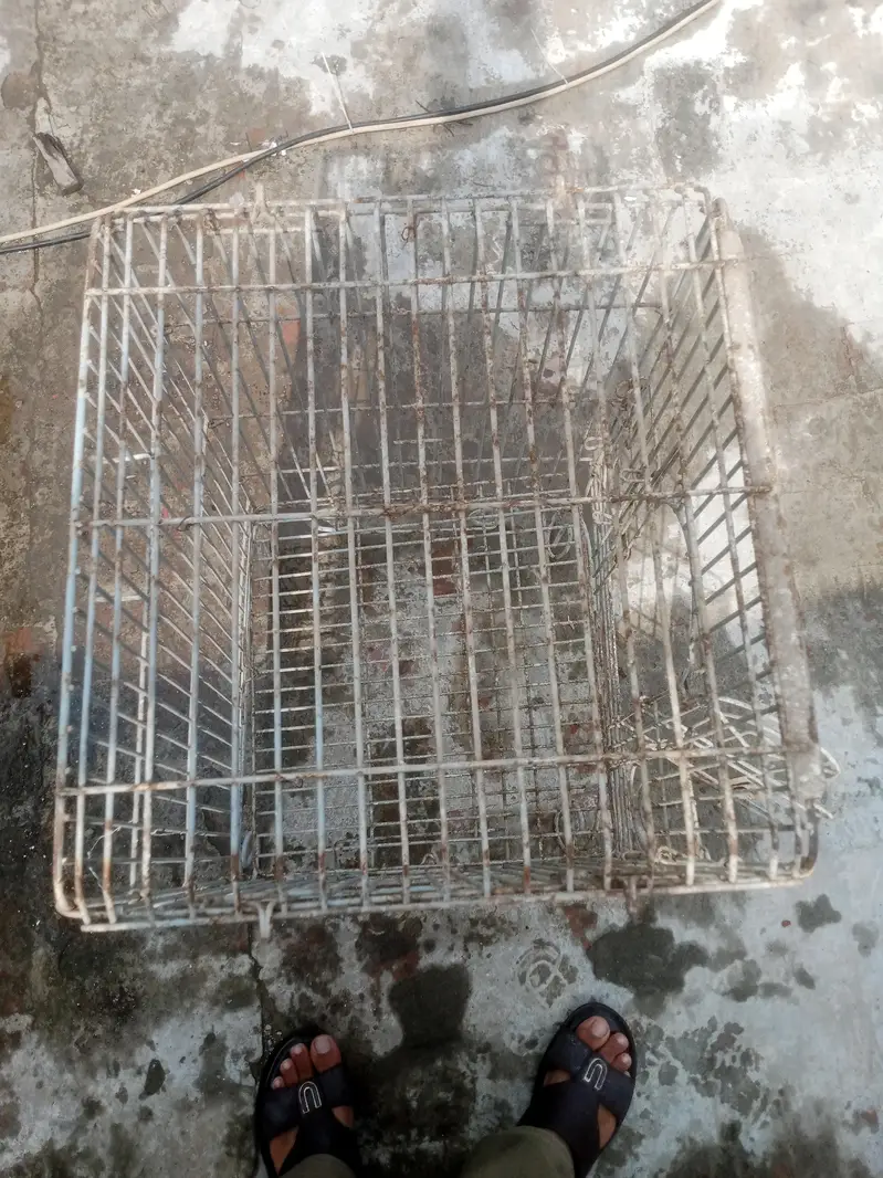 Cage for birds
