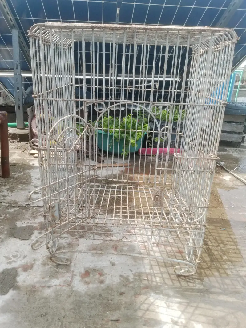 Cage for birds — photo 2