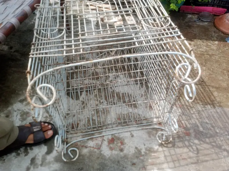 Cage for birds — photo 3