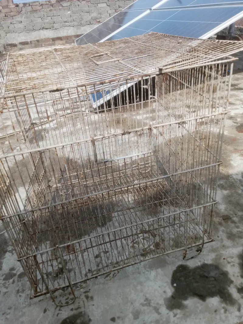 cage for birds — photo 2