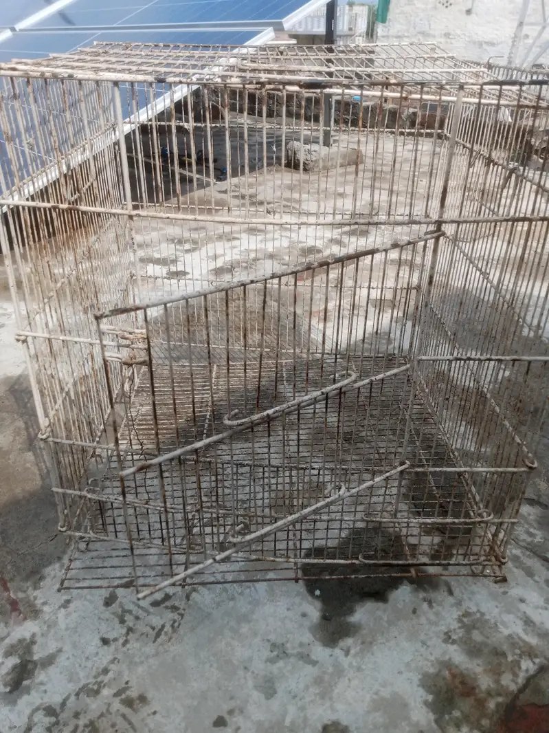 cage for birds — photo 3