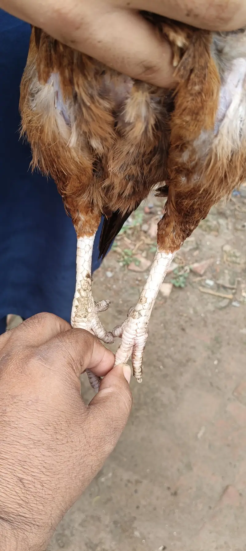 Pure peeli minwali — photo 6