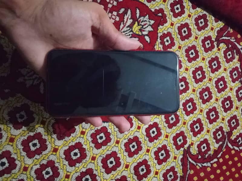 Apple iPhone 11 0