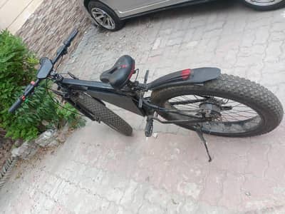 electric bicycle with charger