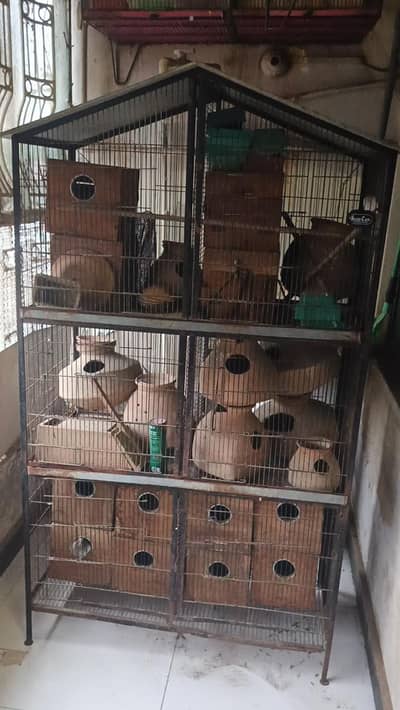 love birds, Java, budgies, cocktails, ringneck, conures cage for sale