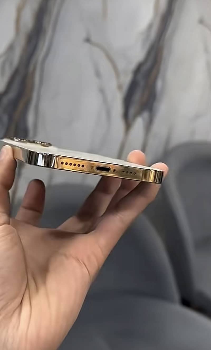 Apple iPhone 13 Pro Max 1