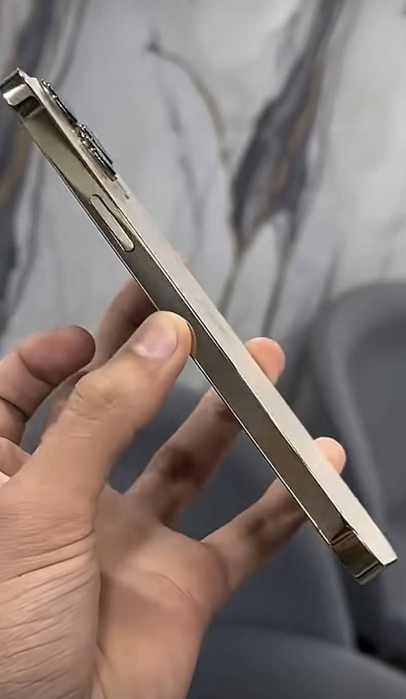 Apple iPhone 13 Pro Max 2