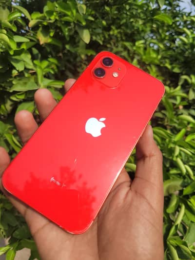Apple iPhone 12 jv