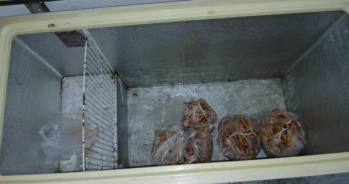 Commercial Freezer 4