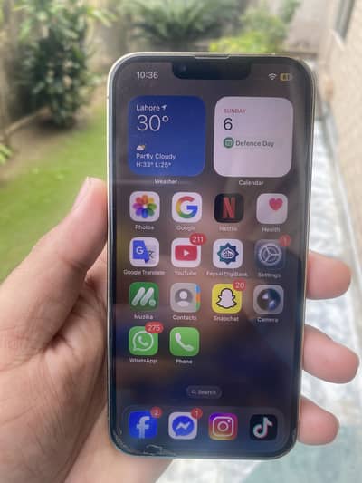 Apple iPhone 13 Pro