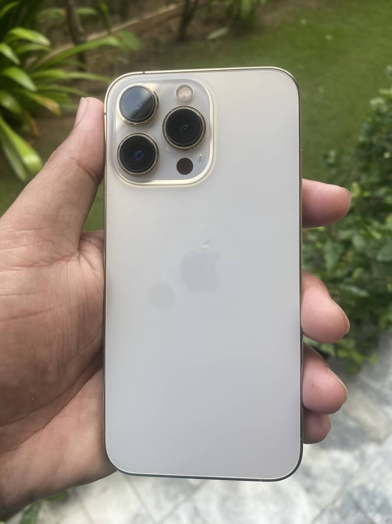 Apple iPhone 13 Pro 1