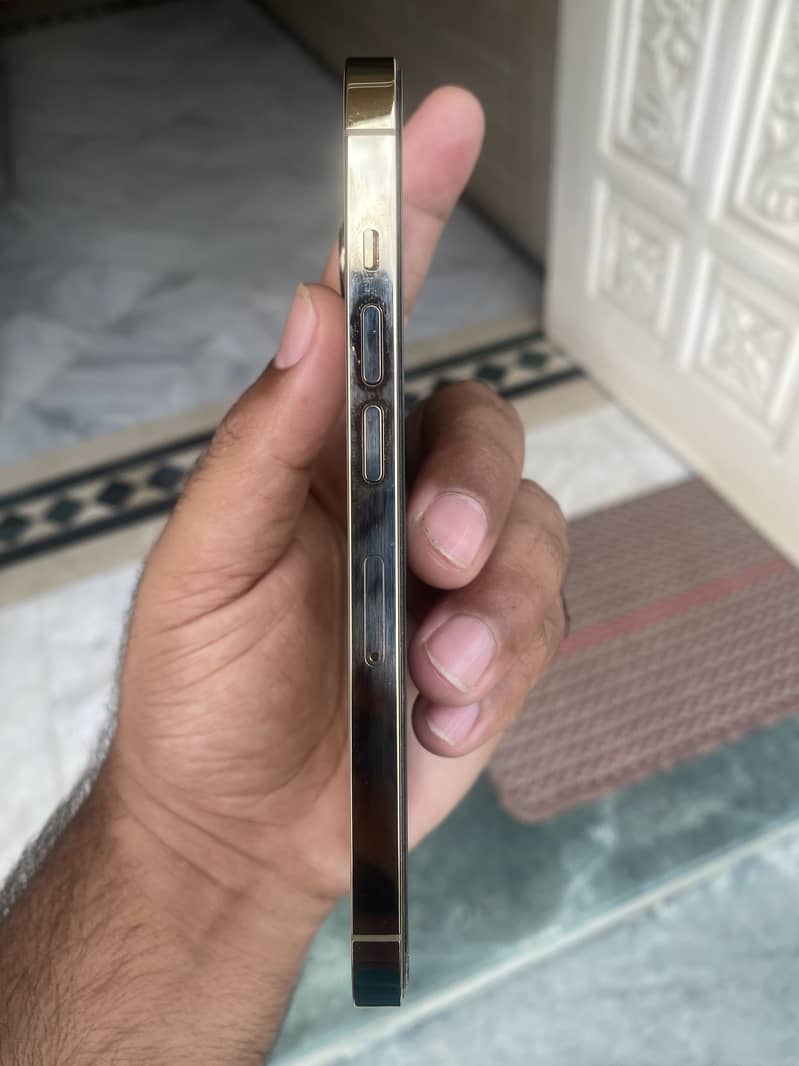 Apple iPhone 13 Pro 2