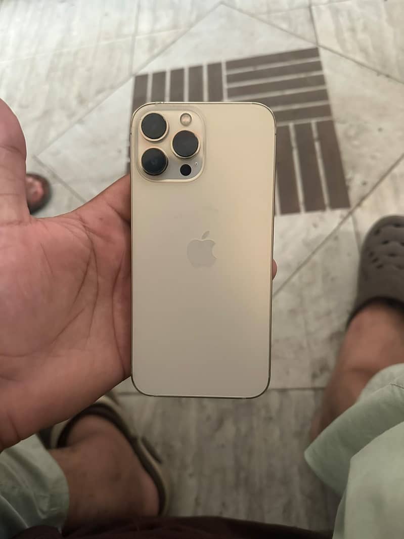 Apple iPhone 13 Pro Max 1