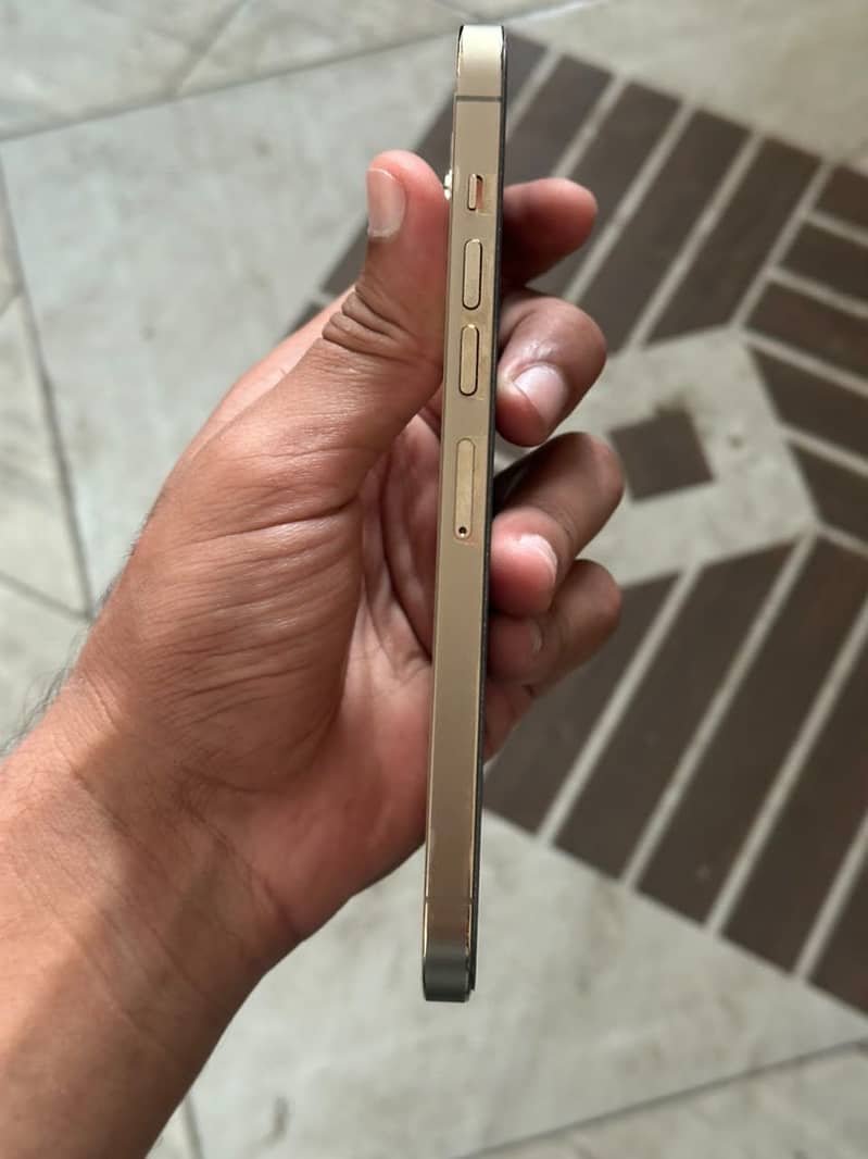 Apple iPhone 13 Pro Max 3