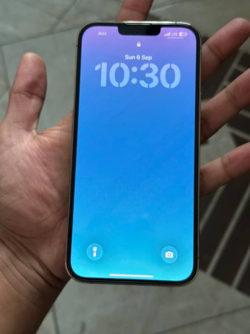 Apple iPhone 13 Pro Max 4