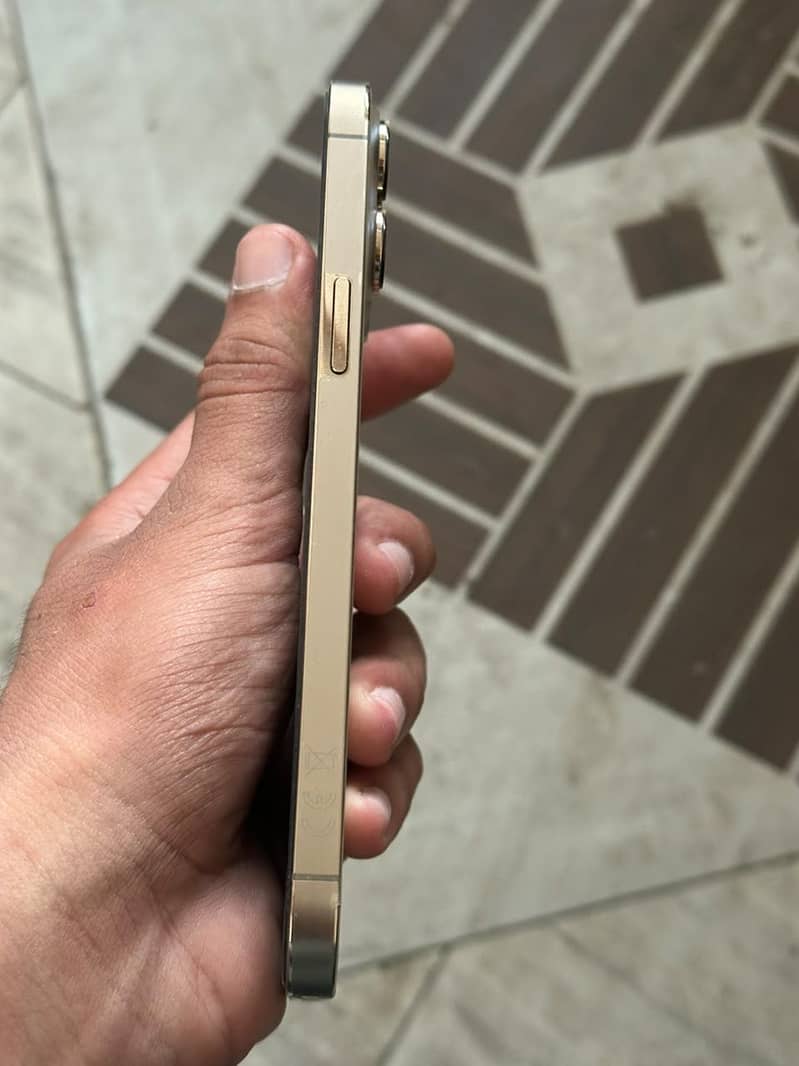 Apple iPhone 13 Pro Max 7