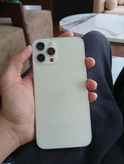 Apple iPhone 12 Pro Max