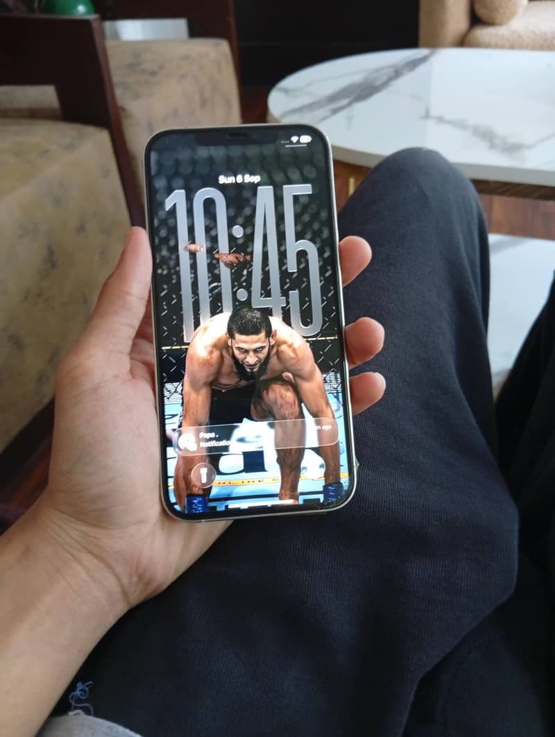 Apple iPhone 12 Pro Max 2