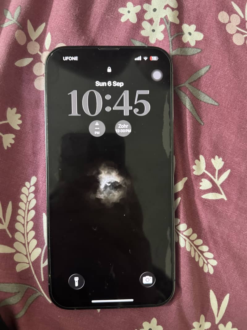 iPhone 13 Pro Max 4