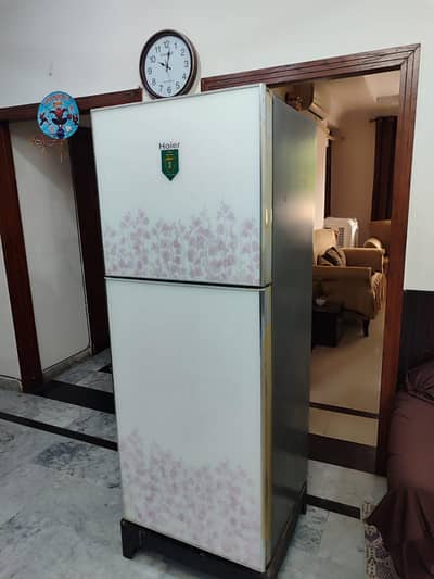 A Fridge seeling