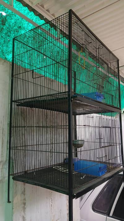 cage for Sale