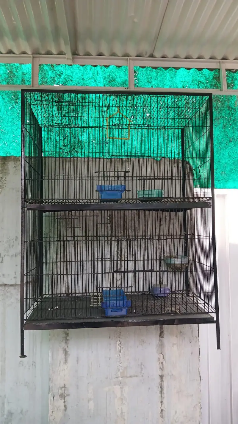 cage for Sale — photo 2