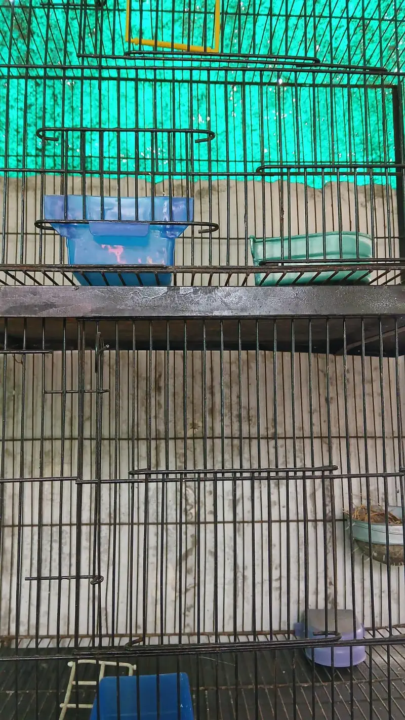 cage for Sale — photo 3