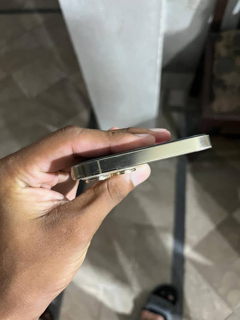 Apple iPhone 12 Pro Max 1