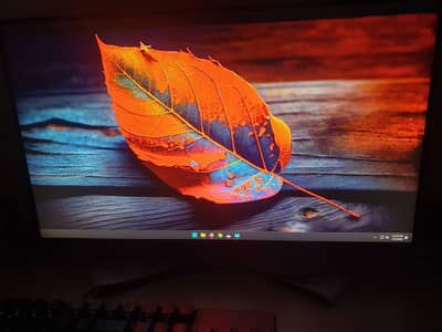 Intel i5-12th Gen & RTX 4060 Gaming PC Build + 24" IPS Monitor