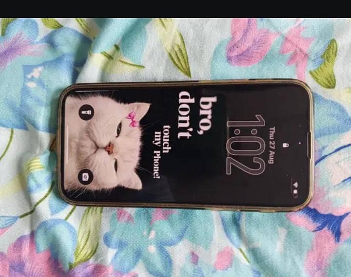 Apple iPhone 13 mini 0
