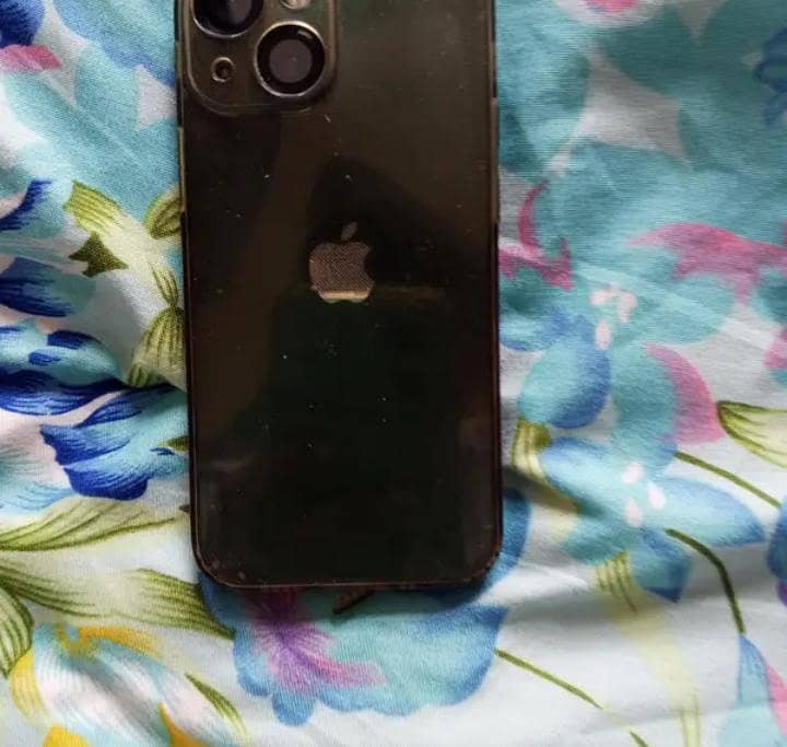 Apple iPhone 13 mini 1