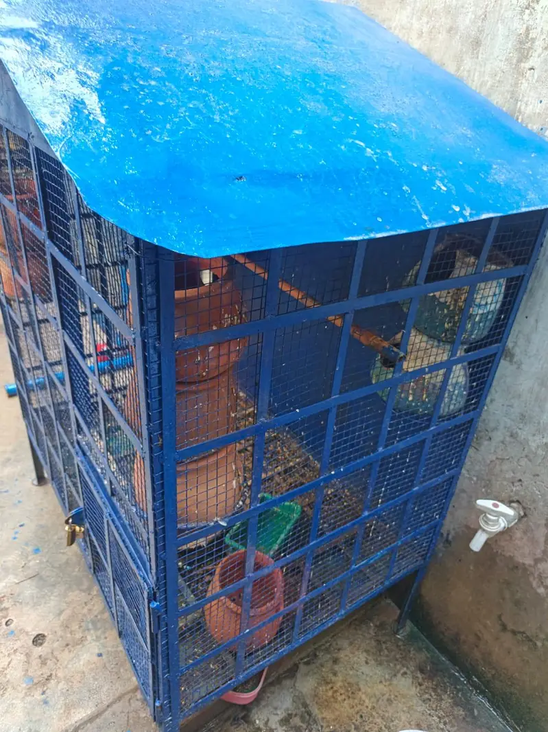 yah wala case for sel ke liye hai — photo 9